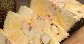 Jackfruit 101
