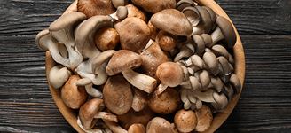Mastering Mushrooms